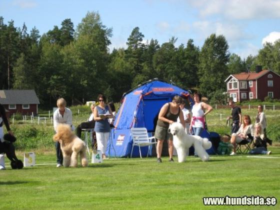 &Ouml;ppna
