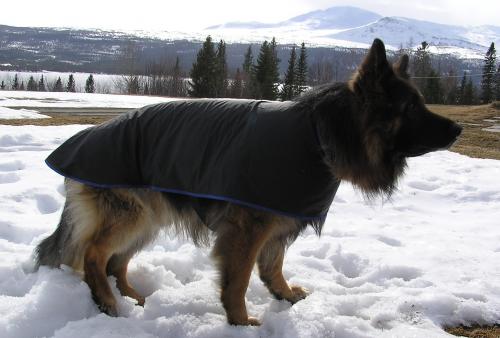 &Ouml;ppna