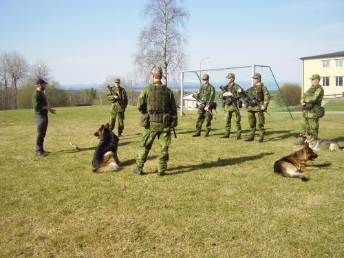 &Ouml;ppna