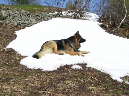 &Ouml;ppna