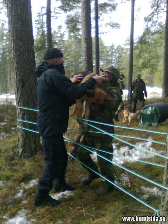 &Ouml;ppna