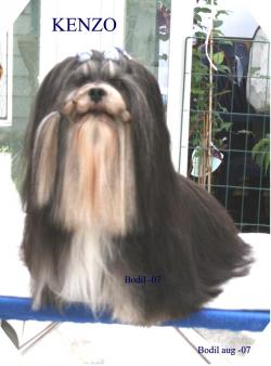 Bodil Sartoft Trollh�ttan