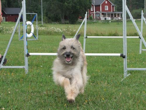 &Ouml;ppna