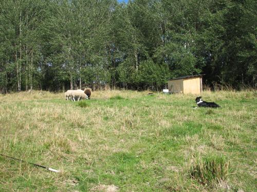 &Ouml;ppna