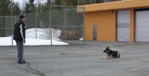 &Ouml;ppna
