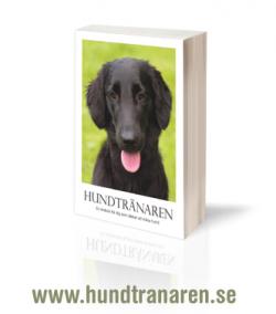 Lina Sundberg Torsby
