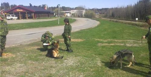 &Ouml;ppna