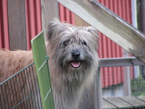 &Ouml;ppna