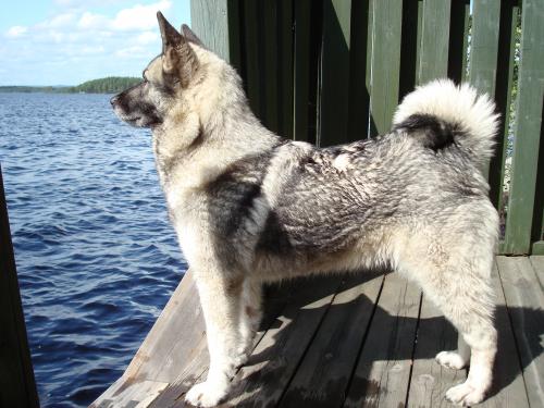 &Ouml;ppna