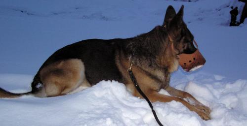 &Ouml;ppna