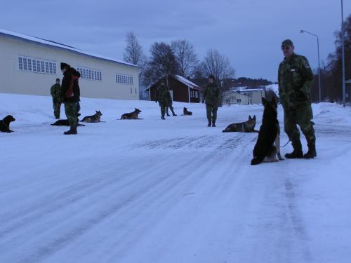 &Ouml;ppna