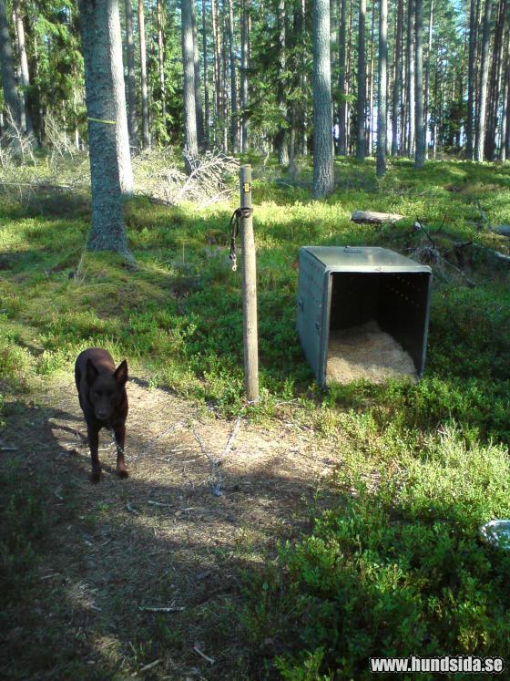 &Ouml;ppna