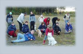Mer om Vilhelmina BHK