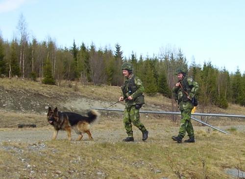&Ouml;ppna