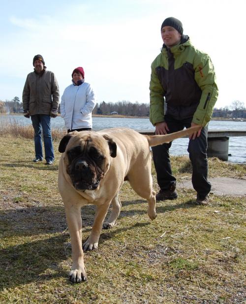 &Ouml;ppna