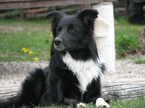 &Ouml;ppna