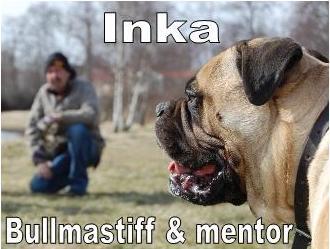 &Ouml;ppna