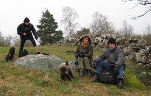 &Ouml;ppna