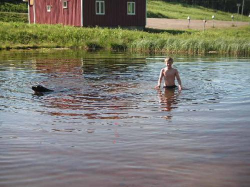 &Ouml;ppna