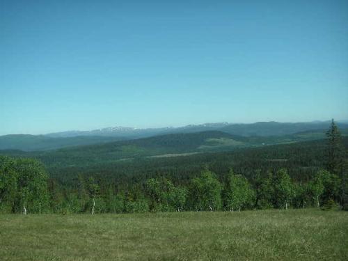 &Ouml;ppna