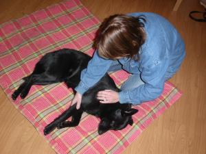 Lena Nordstr�m Ume�