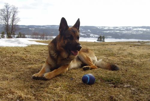 &Ouml;ppna
