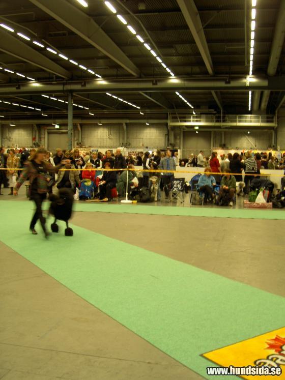 &Ouml;ppna