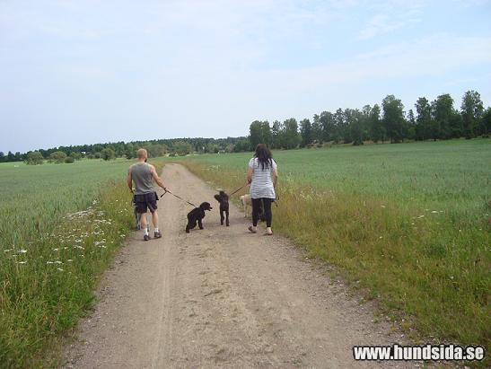 &Ouml;ppna