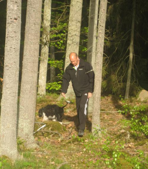 &Ouml;ppna