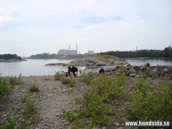 &Ouml;ppna