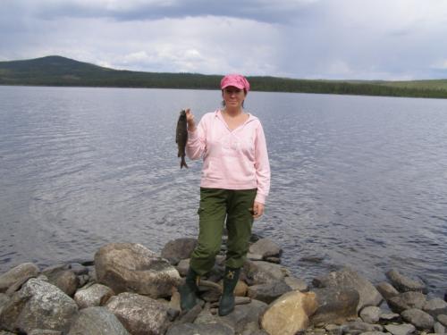 &Ouml;ppna