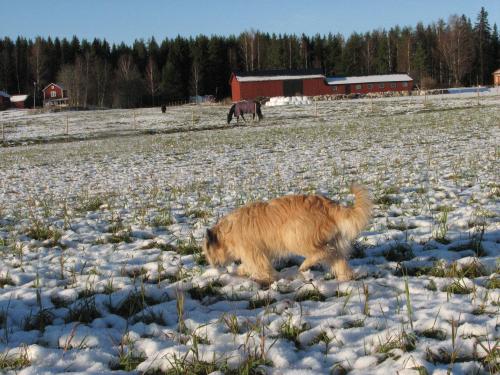 &Ouml;ppna