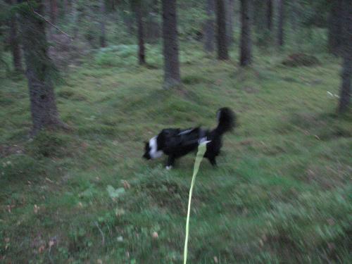 &Ouml;ppna