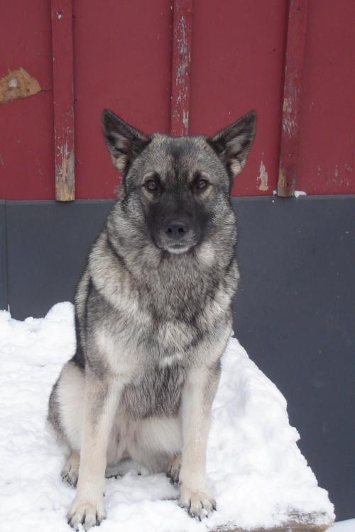 &Ouml;ppna