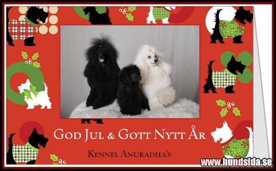 &Ouml;ppna
