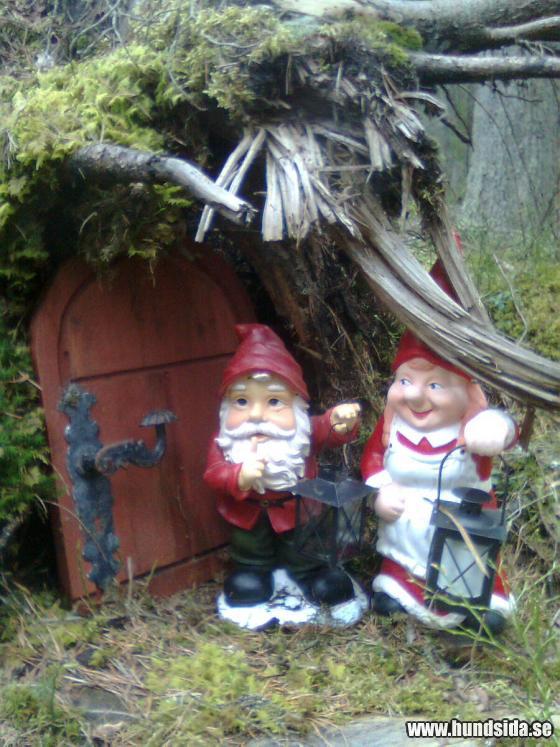 &Ouml;ppna