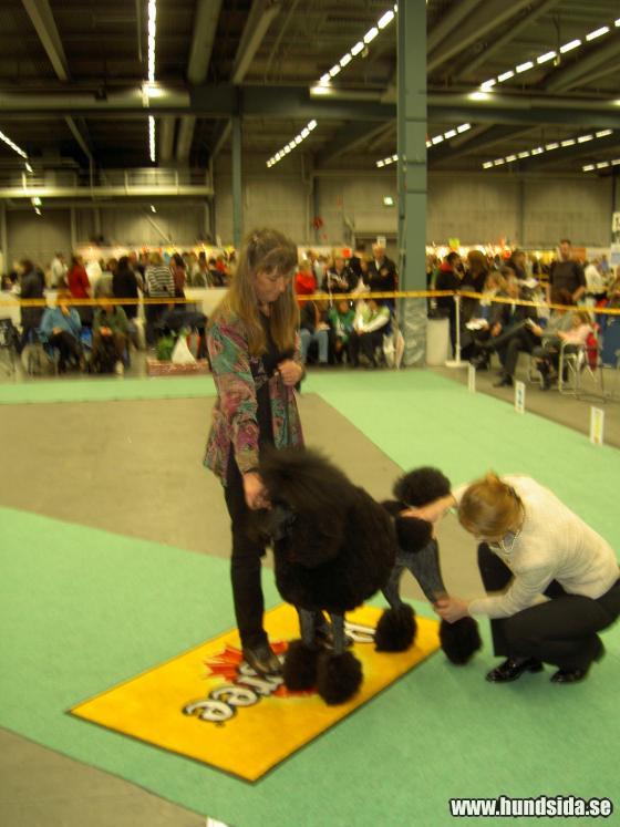 &Ouml;ppna