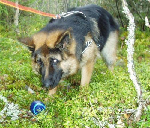 &Ouml;ppna