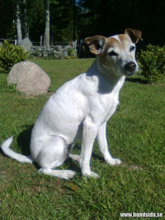 &Ouml;ppna