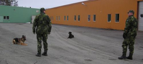 &Ouml;ppna