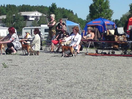 &Ouml;ppna