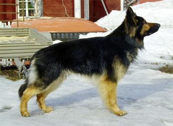 &Ouml;ppna