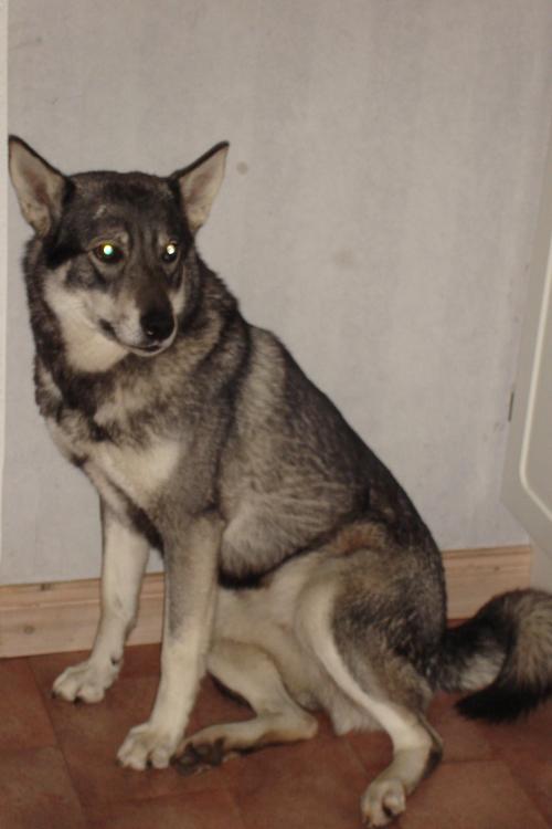 &Ouml;ppna