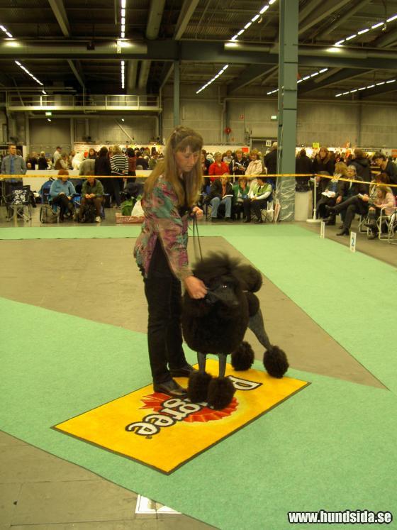 &Ouml;ppna