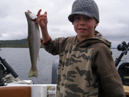 &Ouml;ppna