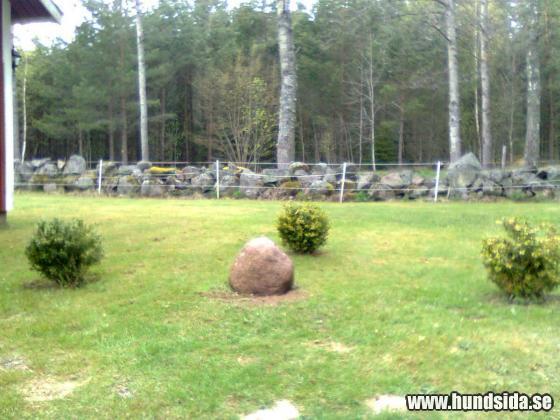 &Ouml;ppna