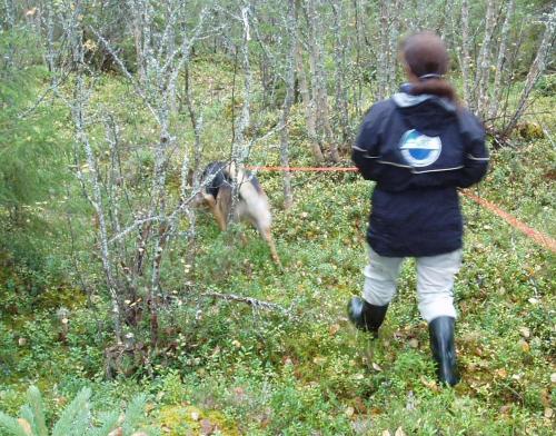&Ouml;ppna