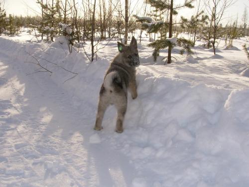&Ouml;ppna