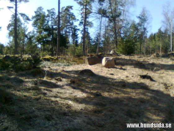 &Ouml;ppna