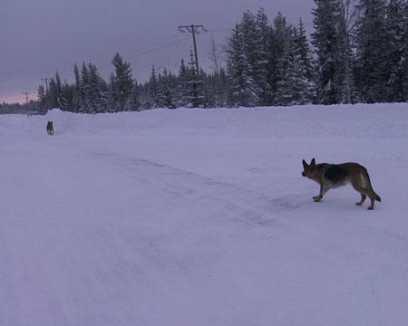 &Ouml;ppna